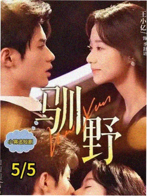 大江大河2电视剧 杨巡商海记 剧情介绍